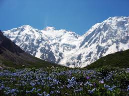 Around Nanga Parbat Trek